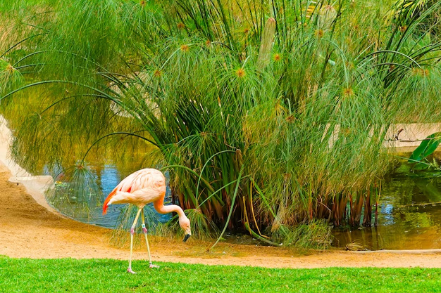 Artificial Plant for Museum, parks and zoos-05.jpg